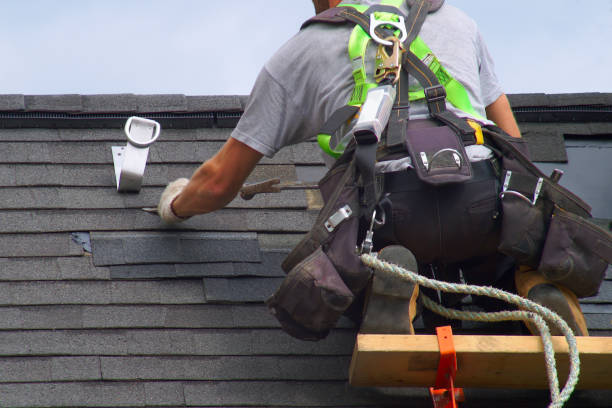 Best Residential Roofing Contractor  in Dover, FL