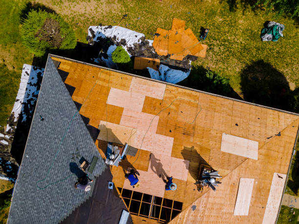 Best Tile Roofing Contractor  in Dover, FL