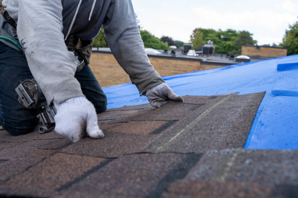 Best Shingle Roofing Installation  in Dover, FL