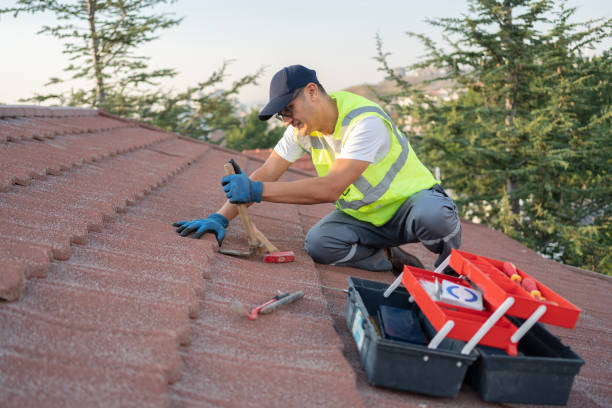 Tile Roofing Contractor in Dover, FL