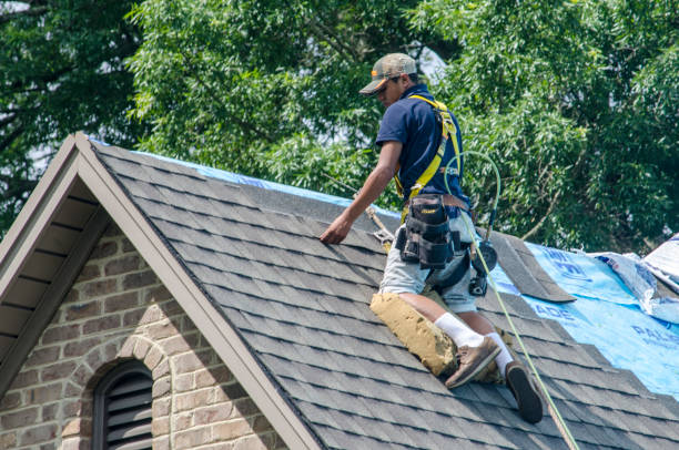 Best Commercial Roofing Services  in Dover, FL